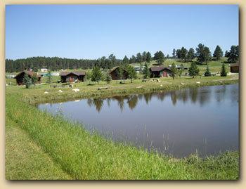 Gold Camp Cabins Custer Extérieur photo